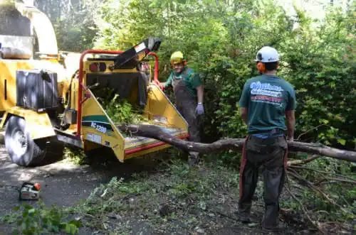 tree services Coffeen